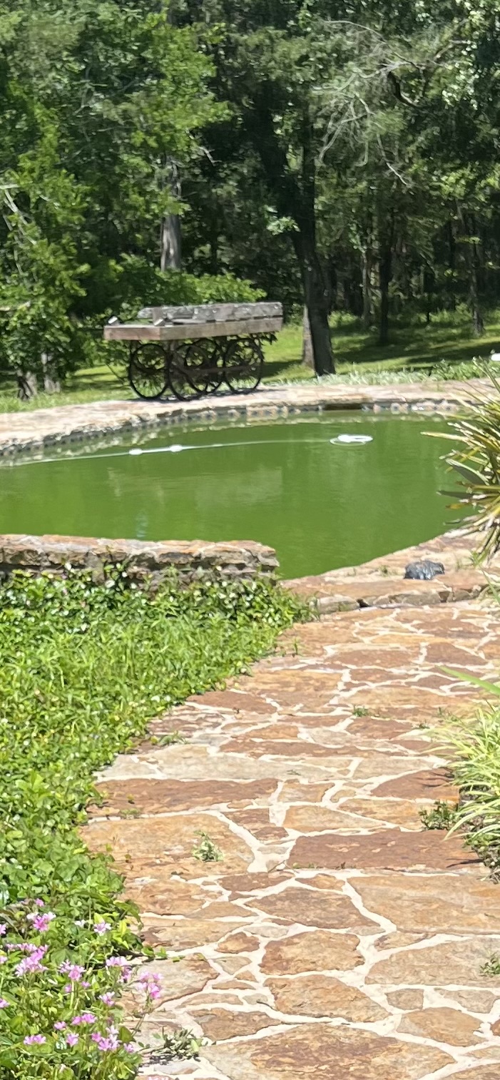 Pool Equipment Repair — Blue Thumb Pool Care